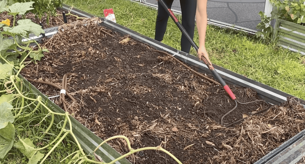 bed preparation for potatoes